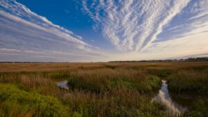 Atlantic Intracoastal Waterway