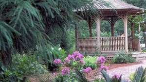 Bamboo Farm and Coastal Gardens