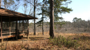 Birdsong Nature Center