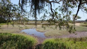 Battle of Bloody Marsh