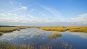 Cumberland Island