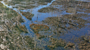 Grand Bay Wetland Education Center