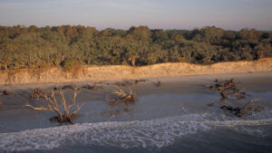 Lower Coastal Plain and Coastal Islands