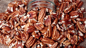 South Georgia Pecan Company