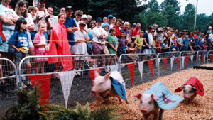 Georgia Mountain Fair