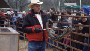 Rattlesnake Roundups