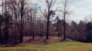 Singer-Moye Mounds