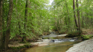 Georgia Community Greenspace Program